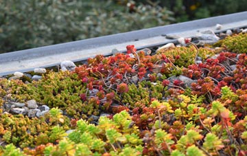 the cost of Bacton Green green roof installation