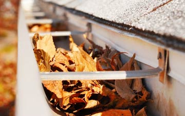 Bacton Green gutter cleaning companies