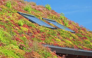 Bacton Green living roof systems