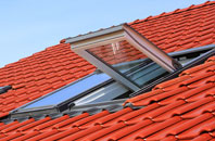 Bacton Green roof window