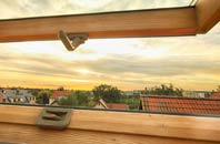 rated Bacton Green roof window companies